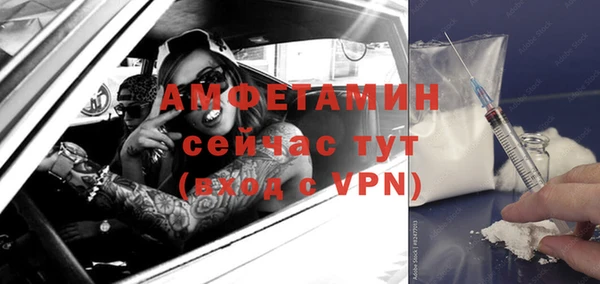 прущие грибы Белокуриха