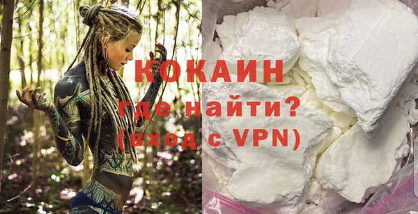 прущие грибы Белокуриха