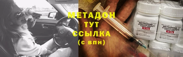 прущие грибы Белокуриха