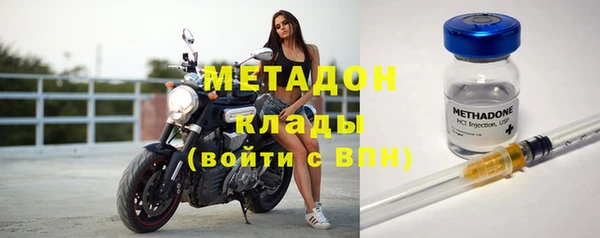 прущие грибы Белокуриха