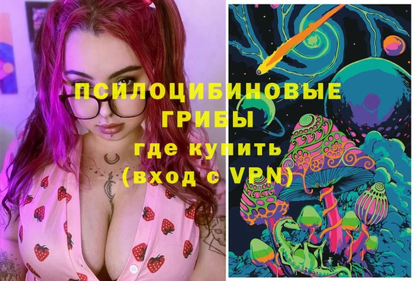 мяу мяу мука Беломорск