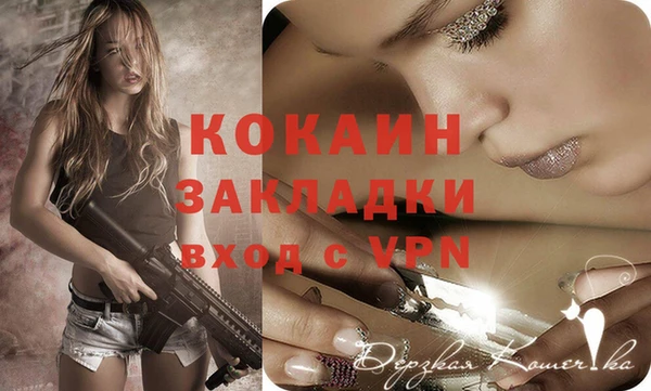 прущие грибы Белокуриха