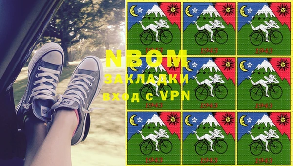 прущие грибы Белокуриха