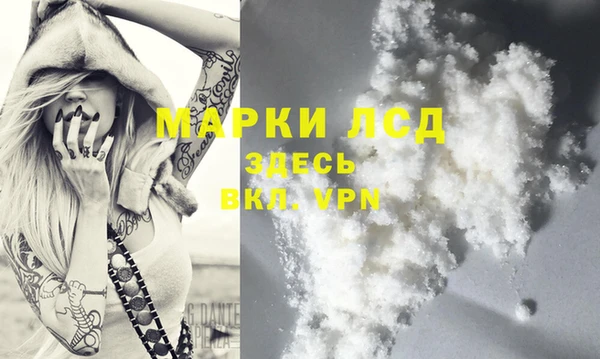 мяу мяу мука Беломорск