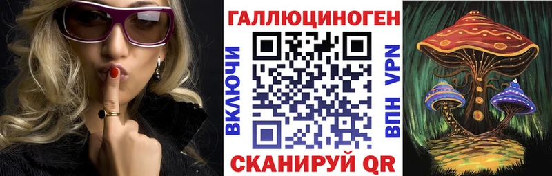 Галлюциногенные грибы Psilocybe  Шимановск 